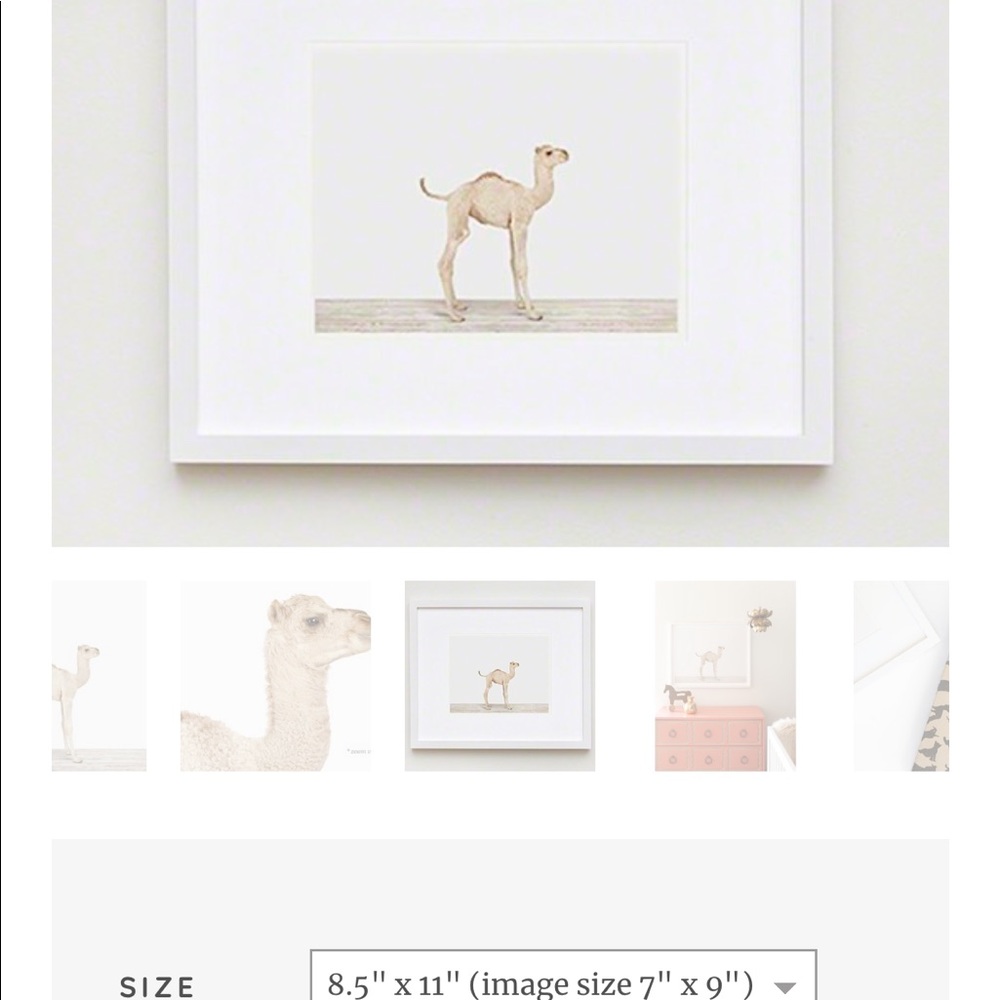 The Animal Print Shop Baby Camel Print 11”x17”